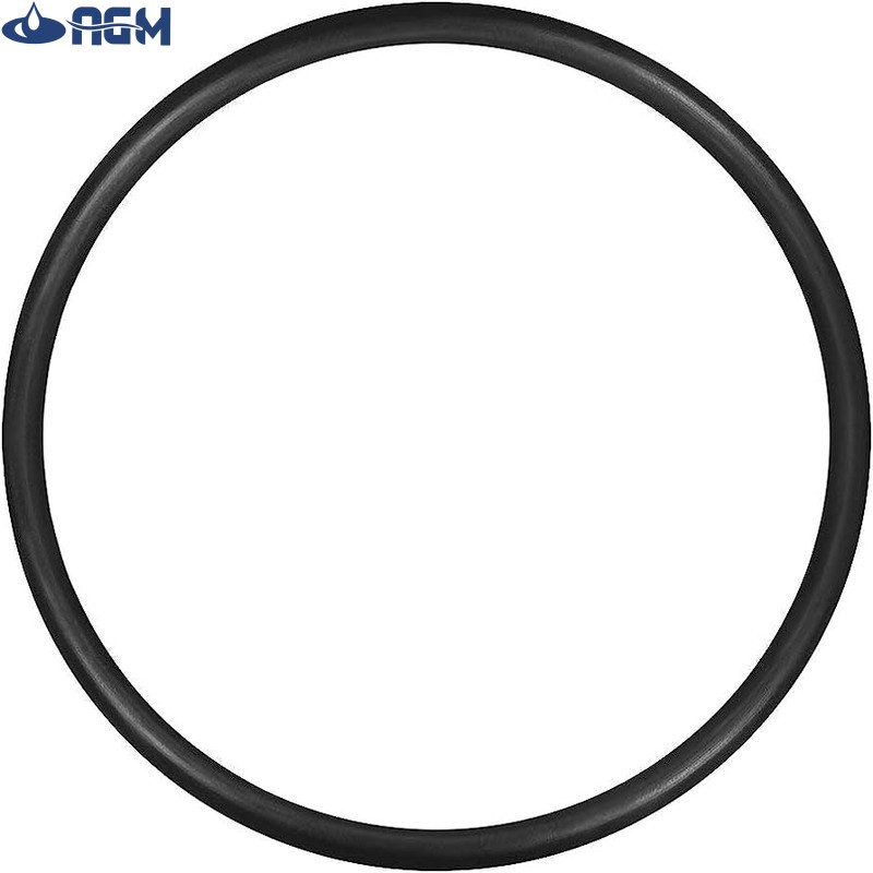 واشر هوزینگ دستگاه تصفیه آب مدل JW-ORING-10 مجموعه 10 عددی